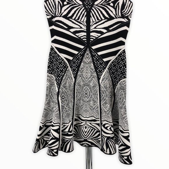 Diane Von Furstenberg Fanny Zebra Knit Dress - Picture 6 of 16